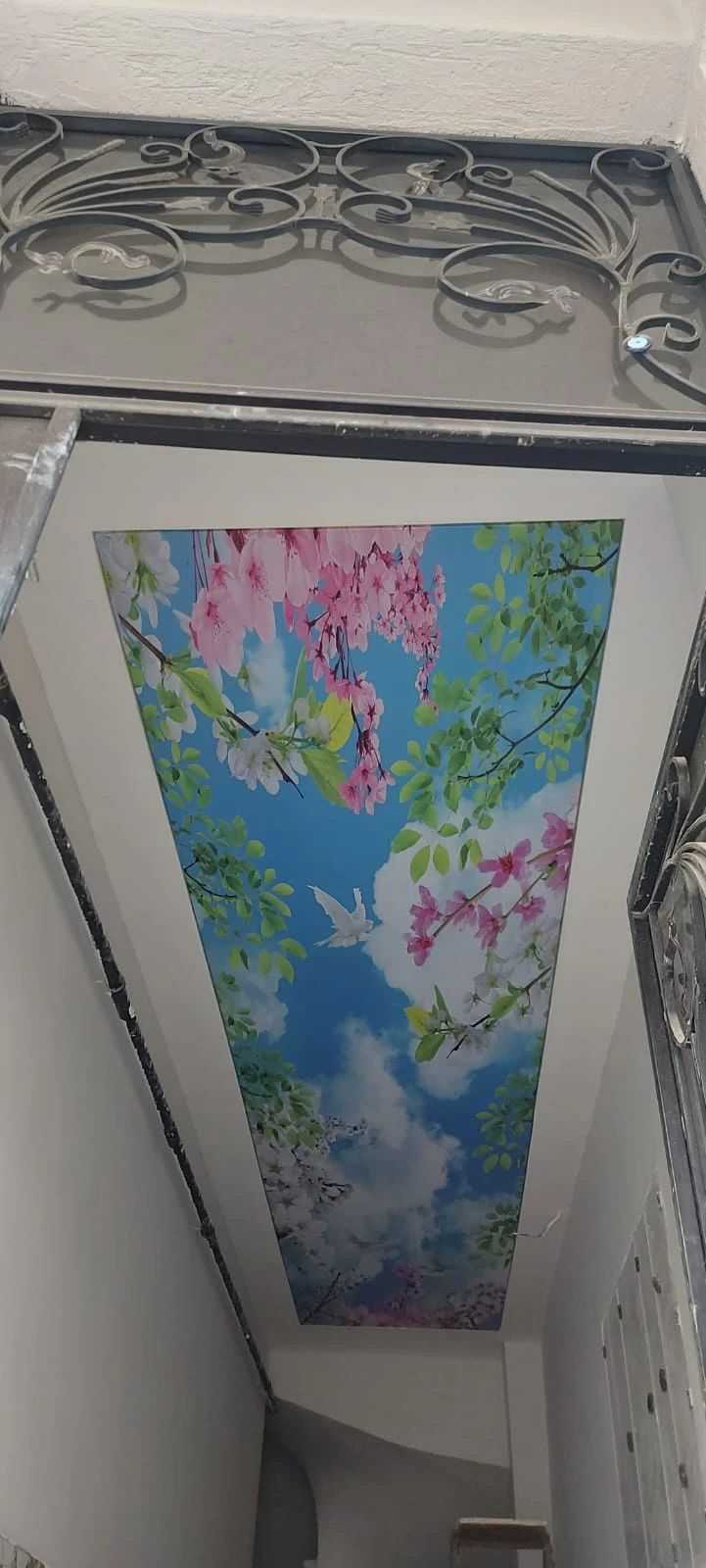 Ceiling Design